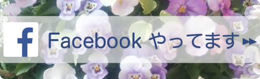 Facebook：フェイスブックやってます